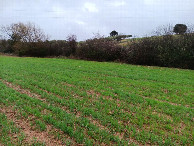 #2: Osten; view east