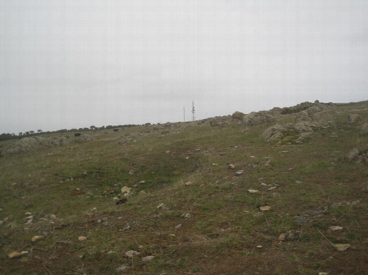 #1: Norden; view north