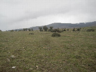 #2: Osten; view east