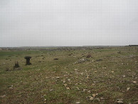 #4: Westen; view west