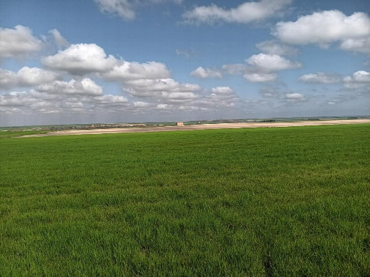#1: Norden; view north