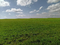 #3: Süden; view south