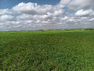 #4: Westen; view west