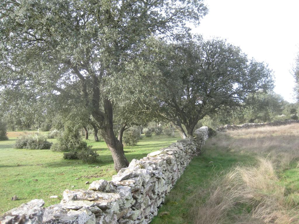 CP area from 20 meters