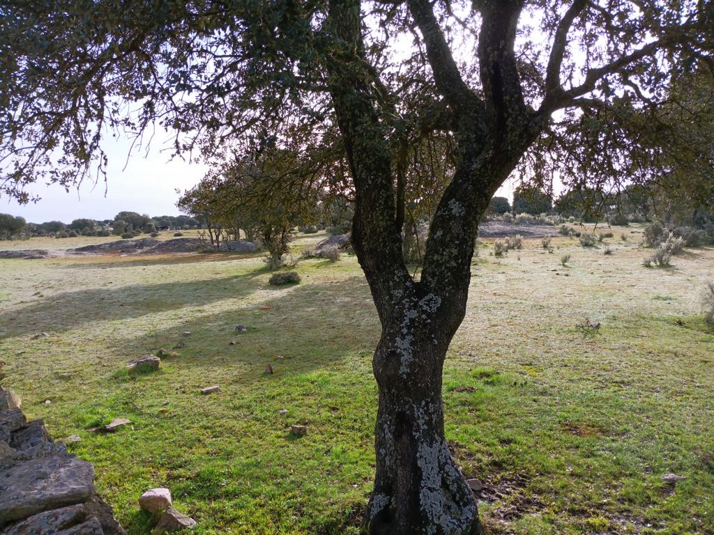 Osten; view east