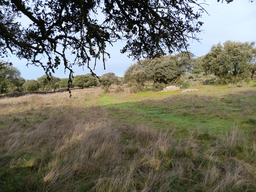 Westen; view west