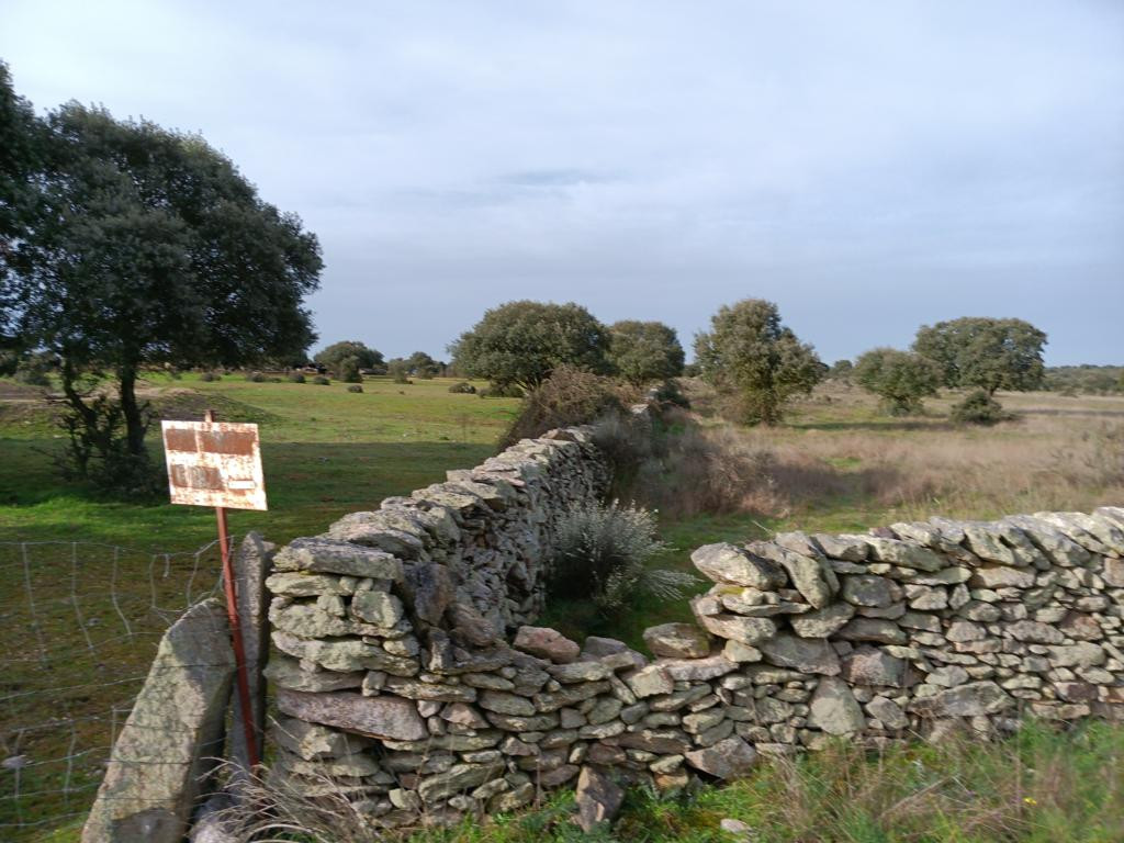 stone wall with entrance