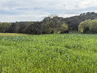 #2: View to the south