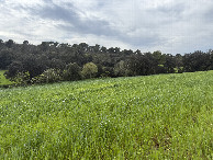 #3: View to the west