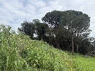 #5: View to the east