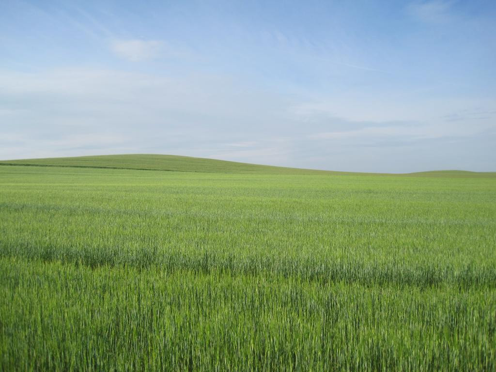 Süden; view south