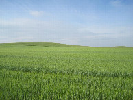 #3: Süden; view south