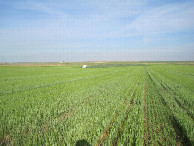 #4: Westen; view west