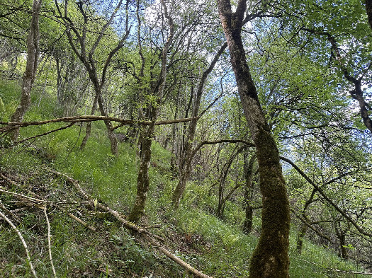 #1: The Confluence from 10m Distance