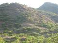 #3: East