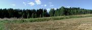 #4: West view.