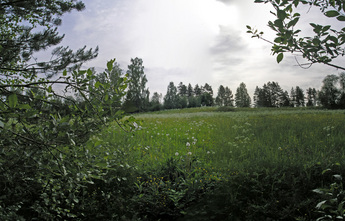 #1: The field 15 m east of the point