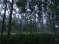 #4: View to the South