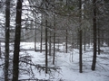 #2: South