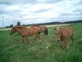 #7: Came part of the way with me