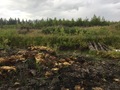 #2: View to the North
