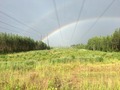 #9: Rainbow and powerlines
