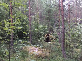 #1: The Confluence from 15 m distance