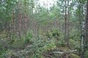 #4: View S