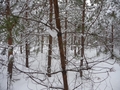 #2: East