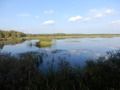 #10: The Lake Vähä-Ruohonen in 400 m Distanc