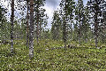 68°N 27°E preview image
