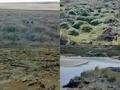 #8: Varying terrain and obstacles, clockwise from upper left:  minefield  fence, hummocky ground, saltwater creek, Mars-like landscape.