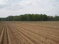 #3: Süden; view south