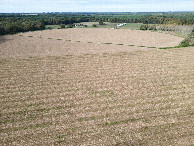 #11: Looking West towards the point (180m away), from a height of 50m