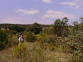 #3: Looking to the south