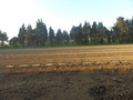 #2: View to the South