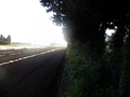 #5: View to the East