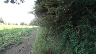 #5: View to west
