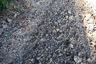 #5: Ground cover at the confluence point