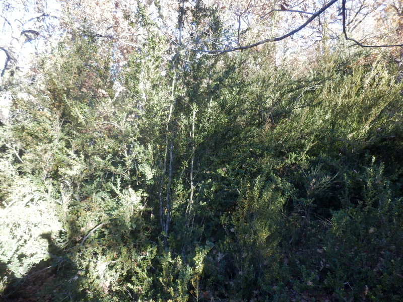 View to the North