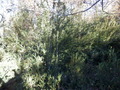#4: View to the North