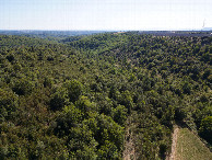 #10: View South, from 50m above the point