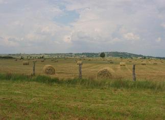 #1: General view of the confluence, its in the field just over the fence.