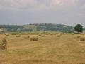 #2: View North to Tanavelle