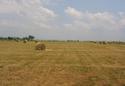#3: View East to Les Ternes