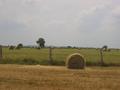 #4: View South