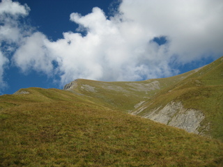 #1: General View