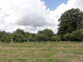 #6: West view