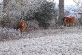 Visit #7: [22-Dec-21]