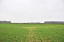 #2: View north / Blick nach Norden